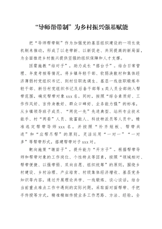 “导师帮带制”为乡村振兴强基赋能