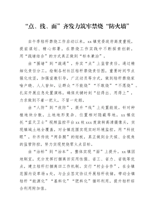“点、线、面”齐发力  筑牢禁烧“防火墙”
