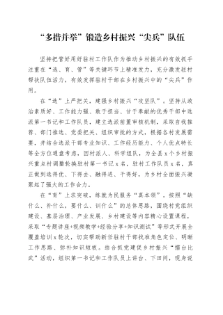 “多措并举”锻造乡村振兴“尖兵”队伍