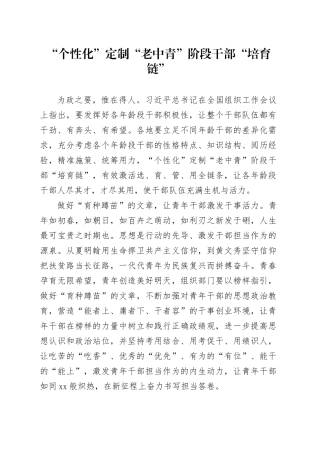 “个性化”定制“老中青”阶段干部“培育链”