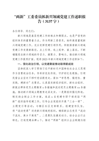 “两新”工委委员抓新兴领域党建工作述职报告（3137字）