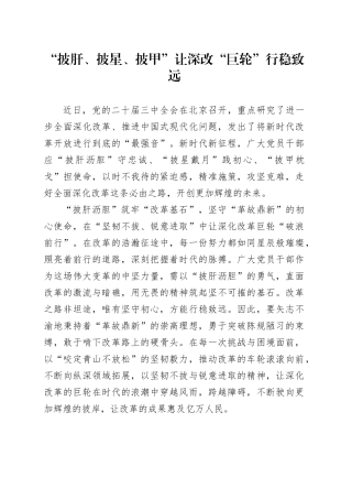 “披肝、披星、披甲”让深改“巨轮”行稳致远