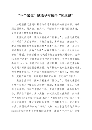 “三个聚焦”赋能乡村振兴“加速跑”