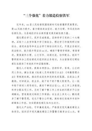 “三个强化”着力锻造检察铁军