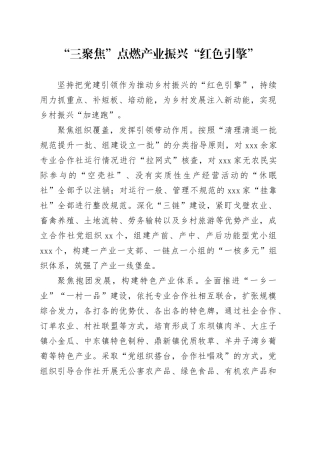 “三聚焦”点燃产业振兴“红色引擎”