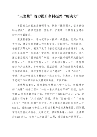 “三聚焦”着力提升乡村振兴“硬实力”
