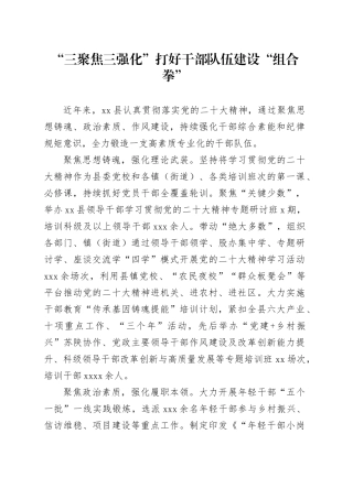 “三聚焦三强化”打好干部队伍建设“组合拳”