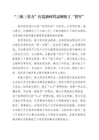 “三抓三着力”打造新时代过硬组工“铁军”