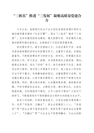 “三抓实”推进“三发展”凝聚高质量党建合力
