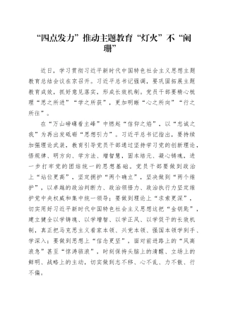 “四点发力”推动主题教育“灯火”不“阑珊”