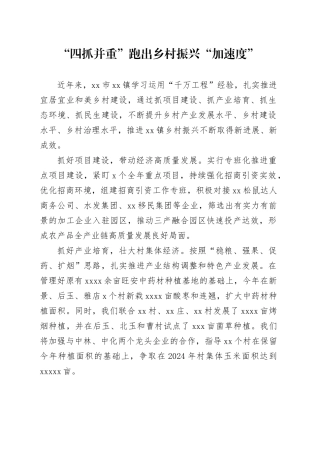 “四抓并重”跑出乡村振兴“加速度”