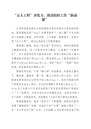 “五大工程”齐发力，激活组织工作“新动能”