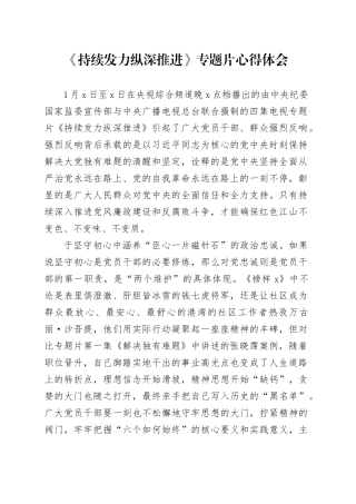 《持续发力 纵深推进》专题片心得体会