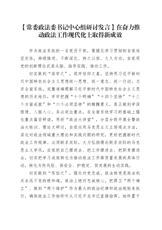 【政法委书记研讨发言】在奋力推动政法工作现代化上取得新成效