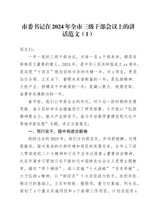 2篇2024年市三级干部会议讲话大会20240226