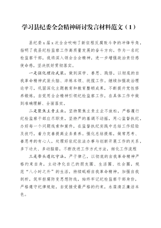 2篇学习县纪委全会精神研讨发言材料心得体会20240226