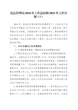 2篇应急管理局2024年工作总结和2025年工作计划汇报报告20241025