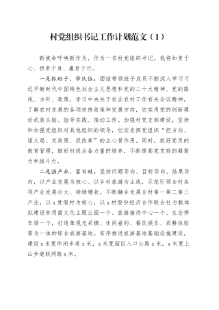 3篇村社区党组织书记工作计划支部20240226