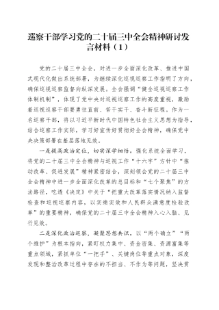 3篇巡察干部学习党的二十届三中全会精神研讨发言材料心得体会交流讲话20240925