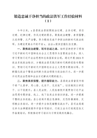8篇锻造忠诚干净担当的政法铁军工作经验材料总结汇报报告队伍建设20241025