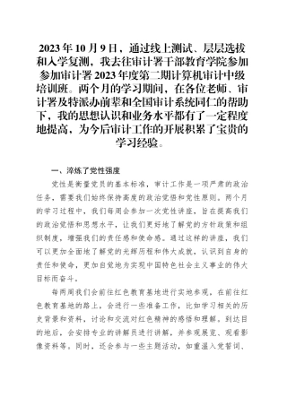 0126计算机审计中级培训总结