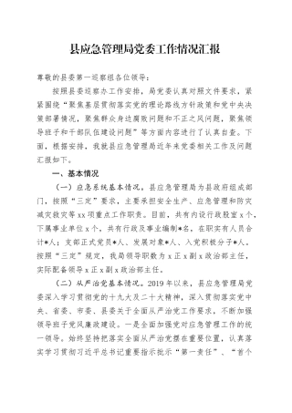 0312  县应急管理局党委工作情况汇报1