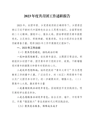 2023年度共青团工作述职报告