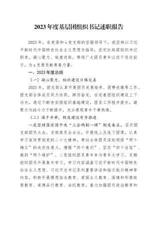 2023年度基层团组织书记述职报告