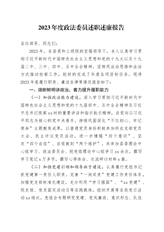 2023年度政法委员述职述廉报告