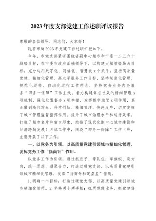 2023年度支部党建工作述职评议报告
