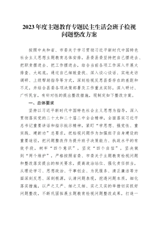 2023年度主题教育专题民主生活会班子检视问题整改方案20240131