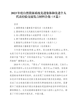 2023年度自然资源系统先进集体和先进个人代表经验交流发言材料合集（5篇）