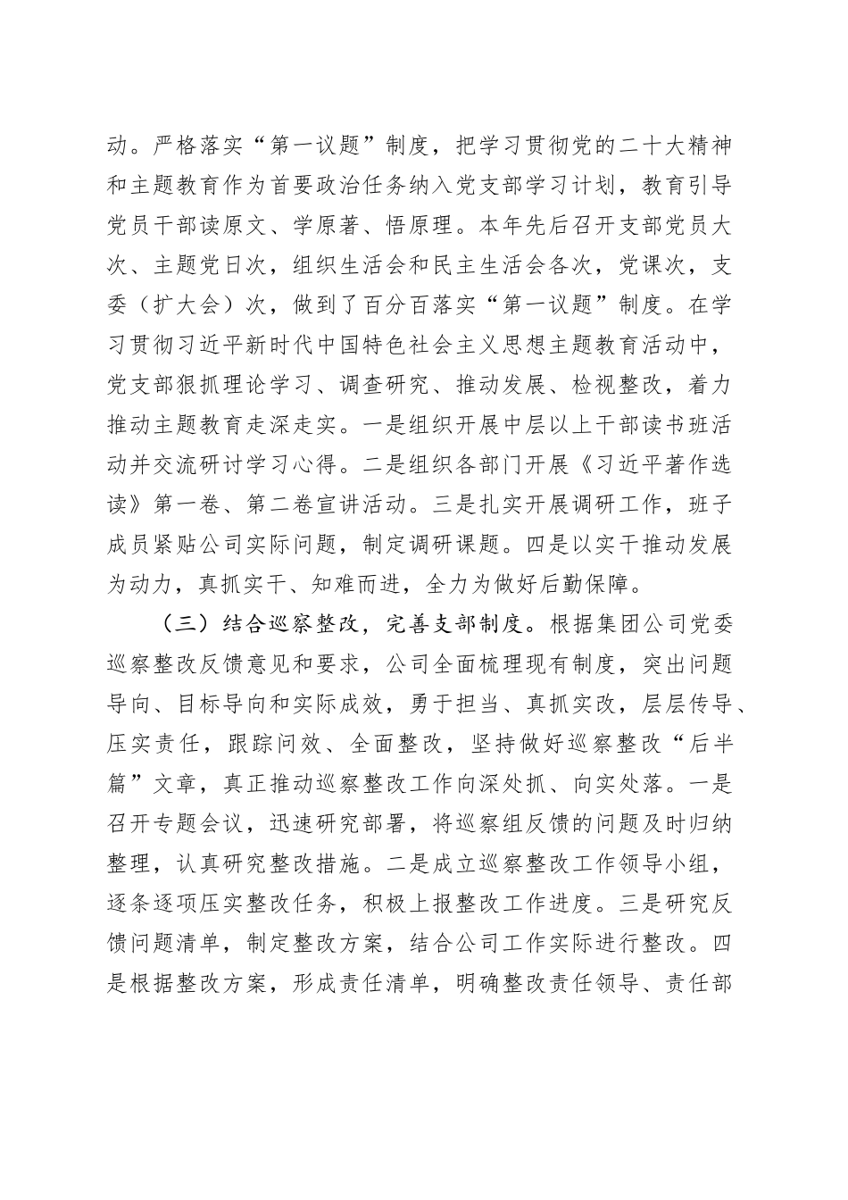 2023年公司党支部党建工作总结20240304_第2页