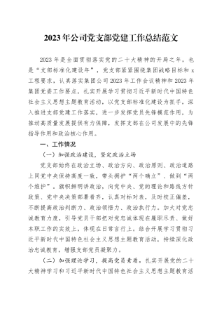 2023年公司党支部党建工作总结20240304