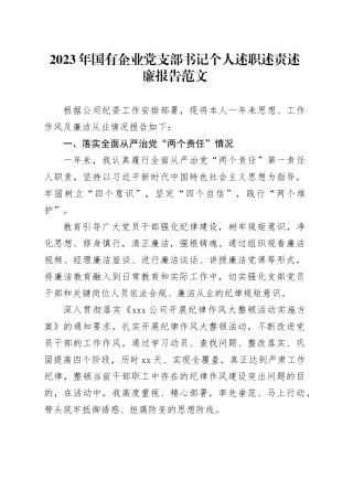 2023年国有企业党支部书记个人述职述责述廉报告20240205