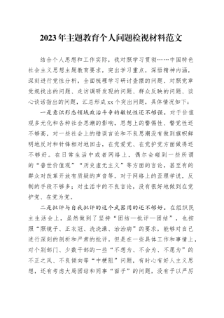 2023年主题教育个人问题检视材料范文 （2）