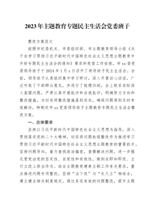 2023年主题教育民主生活会党委班子整改方案20240205