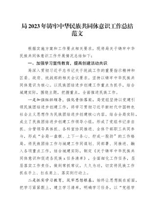 2023年铸牢民族共同体意识工作总结汇报报告20240218