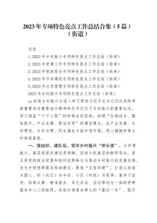 2023年专项特色亮点工作总结合集（5篇）（街道）