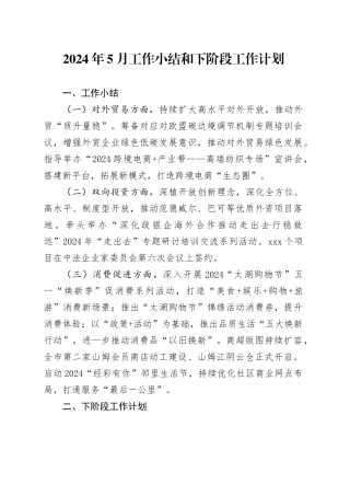 2024年5月工作小结和下阶段工作计划（20240529）