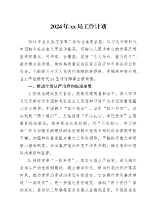 2024年xx医保局工作计划