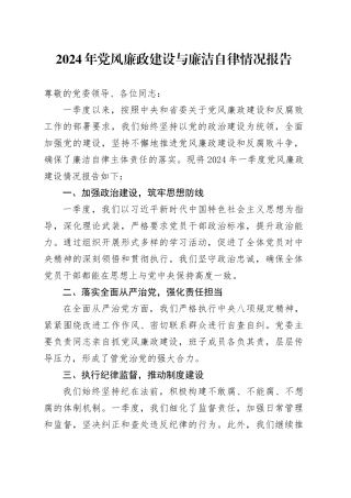 2024年党风廉政建设与廉洁自律情况报告