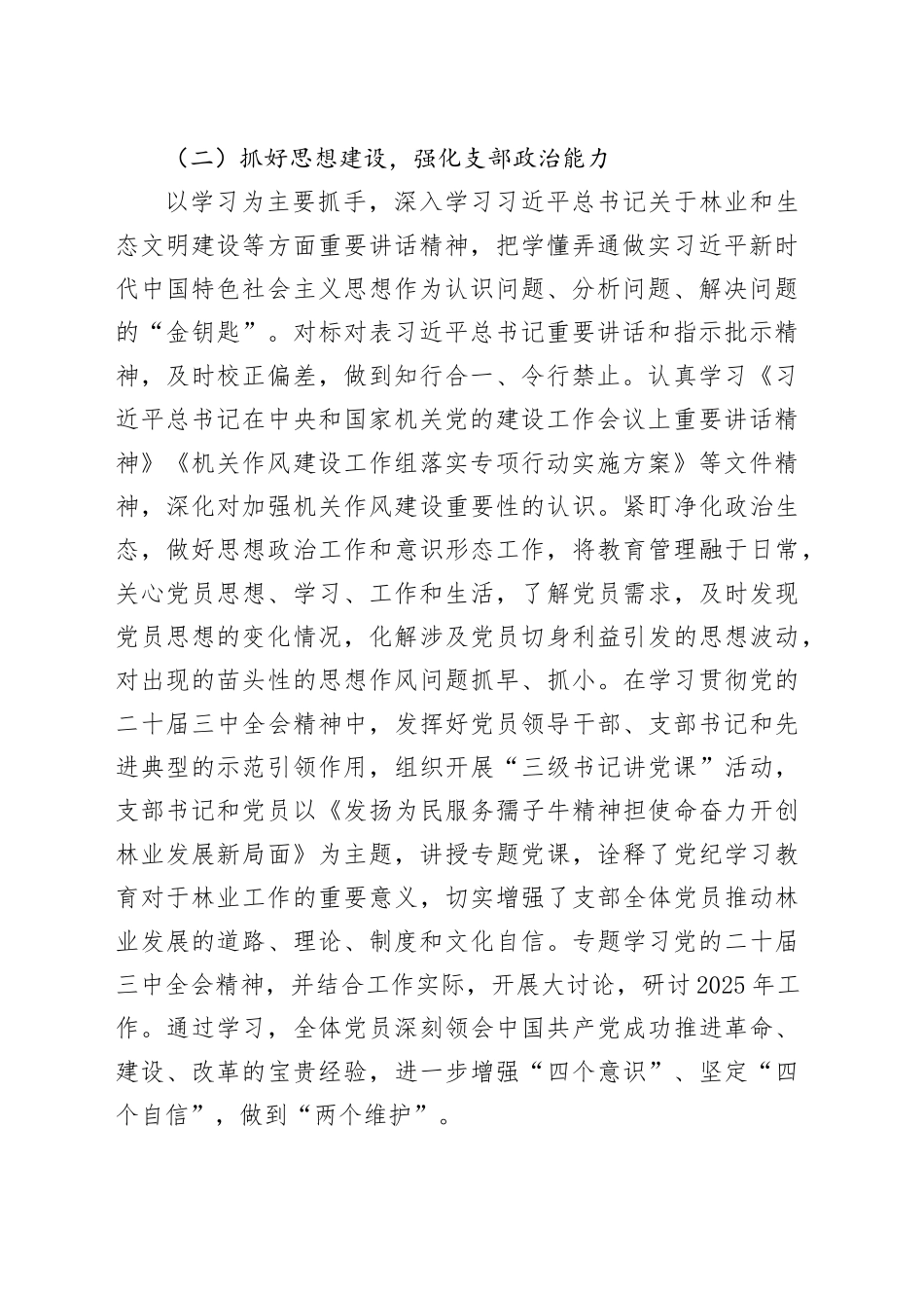 2024年党支部书记抓基层党建工作述职报告20241101_第2页