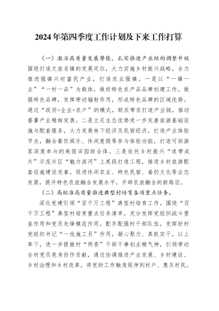 2024年第四季度工作计划及下来工作打算（20241029）