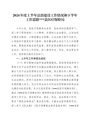 2024年度上半年法治建设工作情况和下半年工作思路