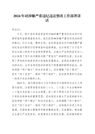 2024年对涉嫌严重违纪违法整改工作部署讲话