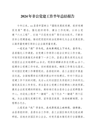 2024年非公党建工作半年总结报告