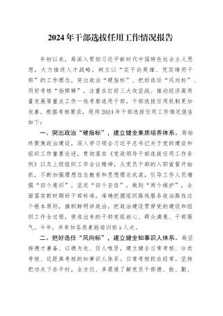 2024年干部选拔任用工作情况报告