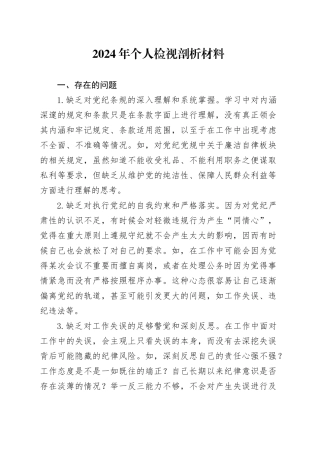 2024年个人检视剖析材料
