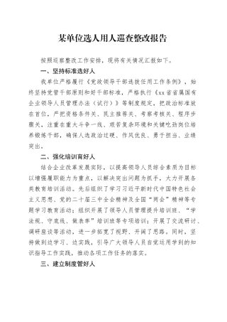2024年某单位选人用人巡查整改报告